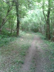 Chemin 13 Chemin 13
