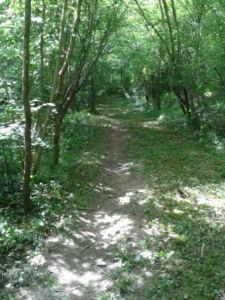Chemin 13 Chemin 13